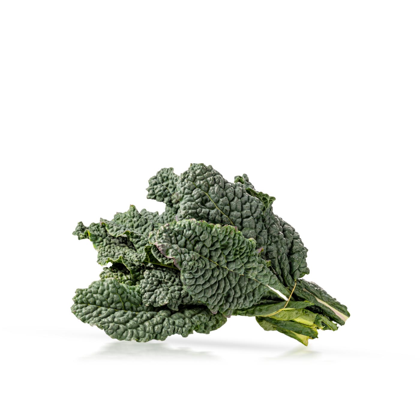 Lakeside Organic Lacinato Kale