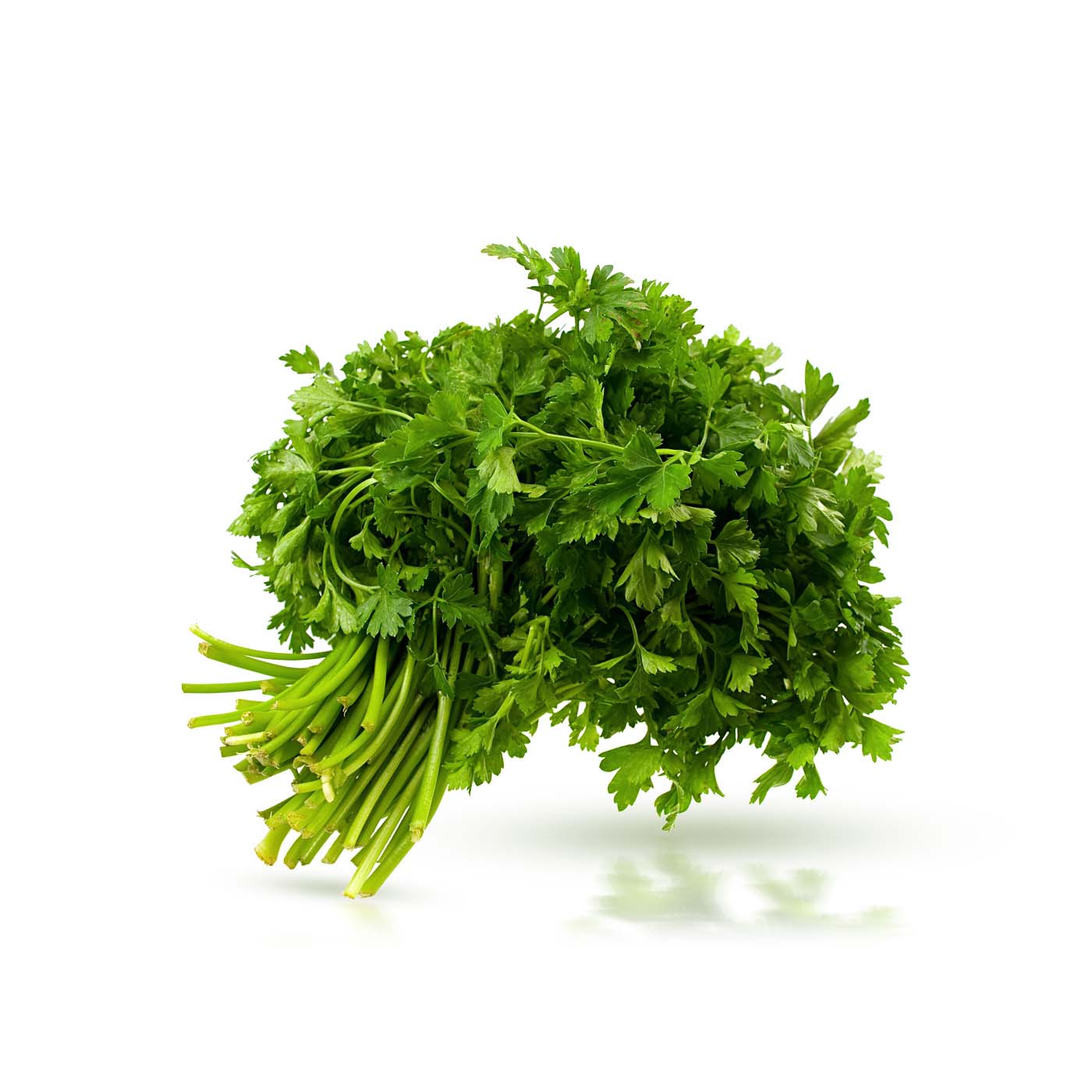 Lakeside Organic Parsley
