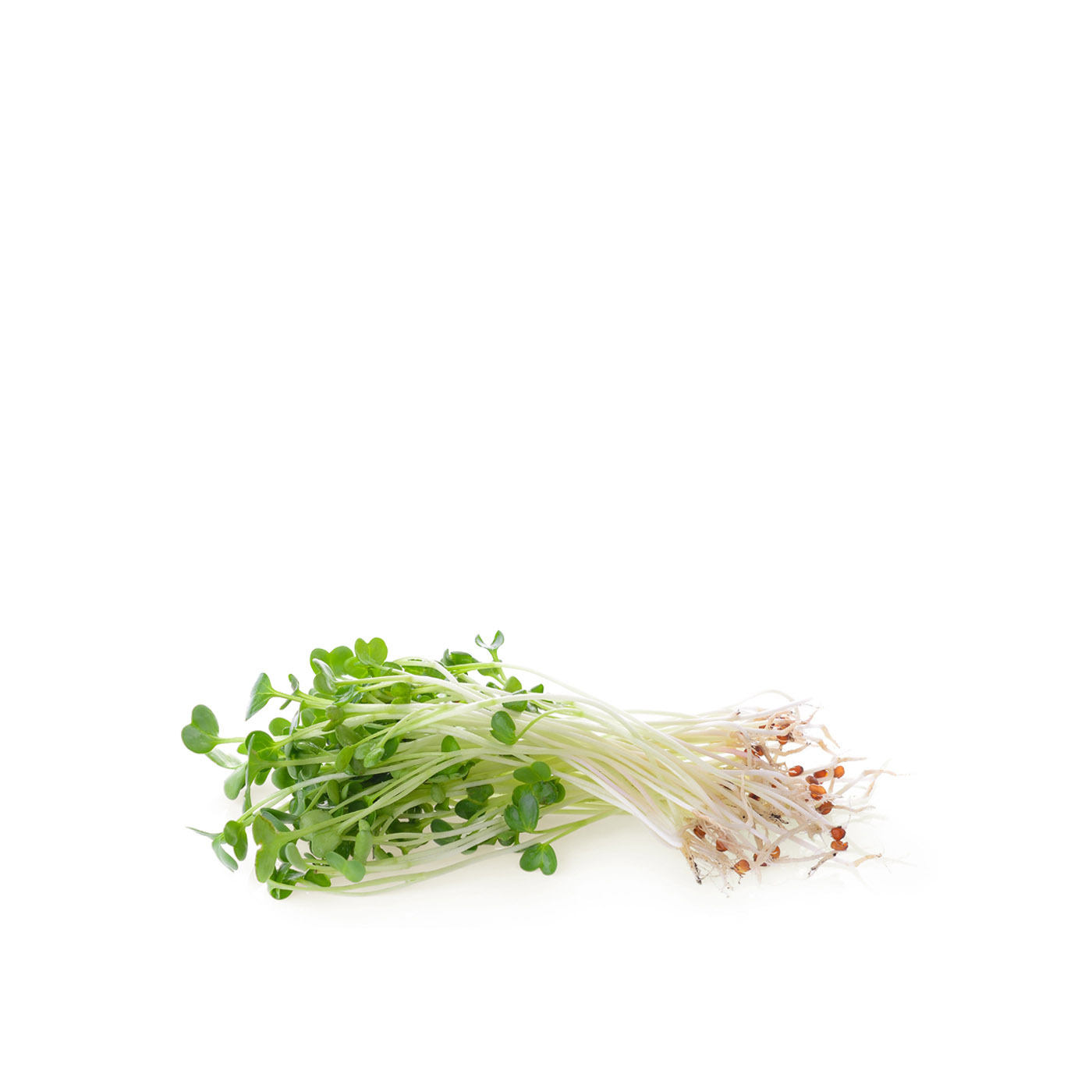 Alfalfa Sprouts 100g