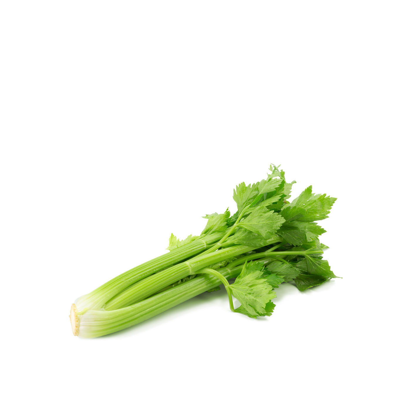 Celery Bunch Australia Each