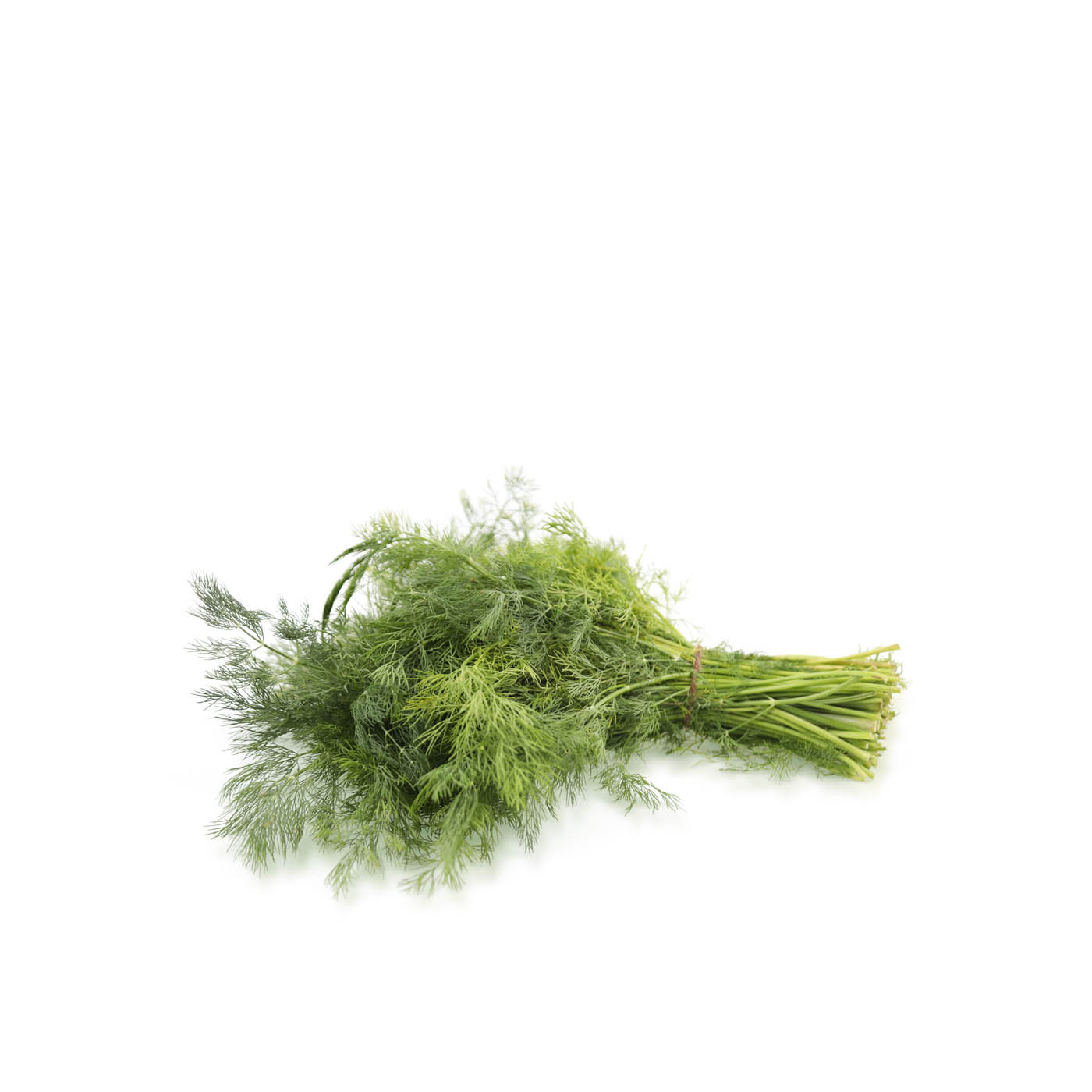 Dill Bunch KSA