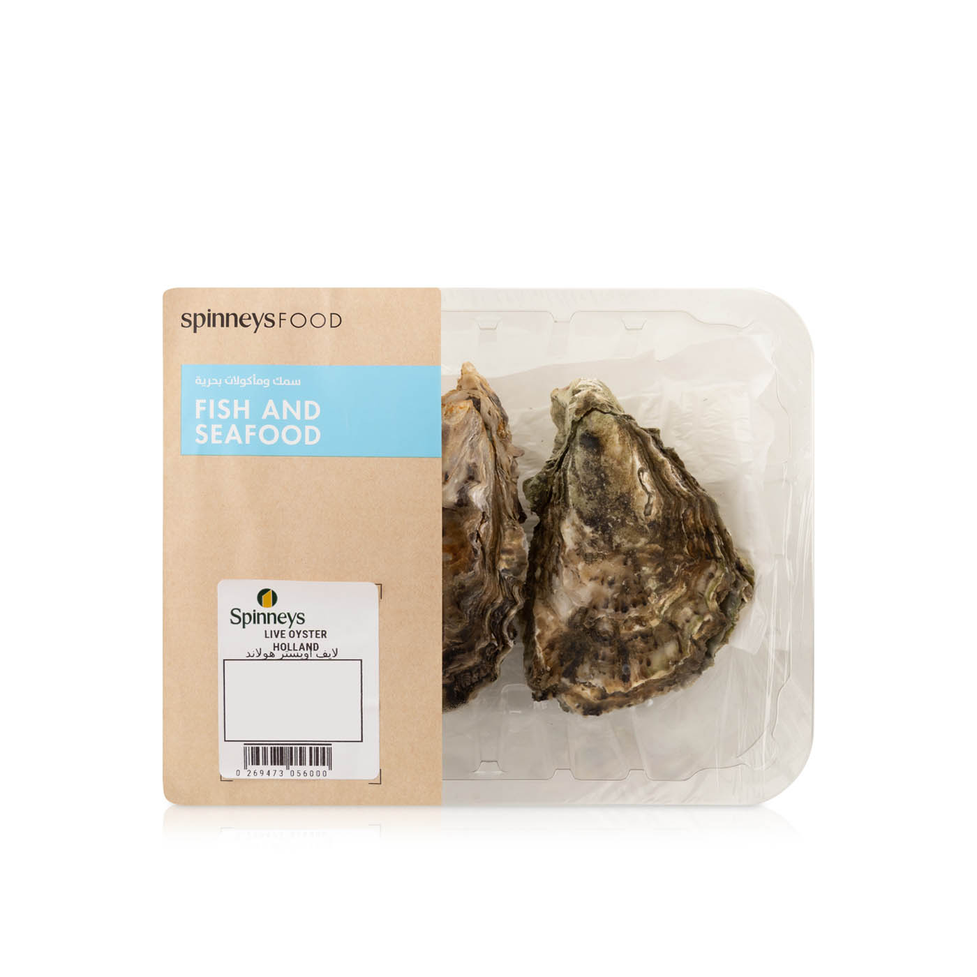 Live Oyster Holland