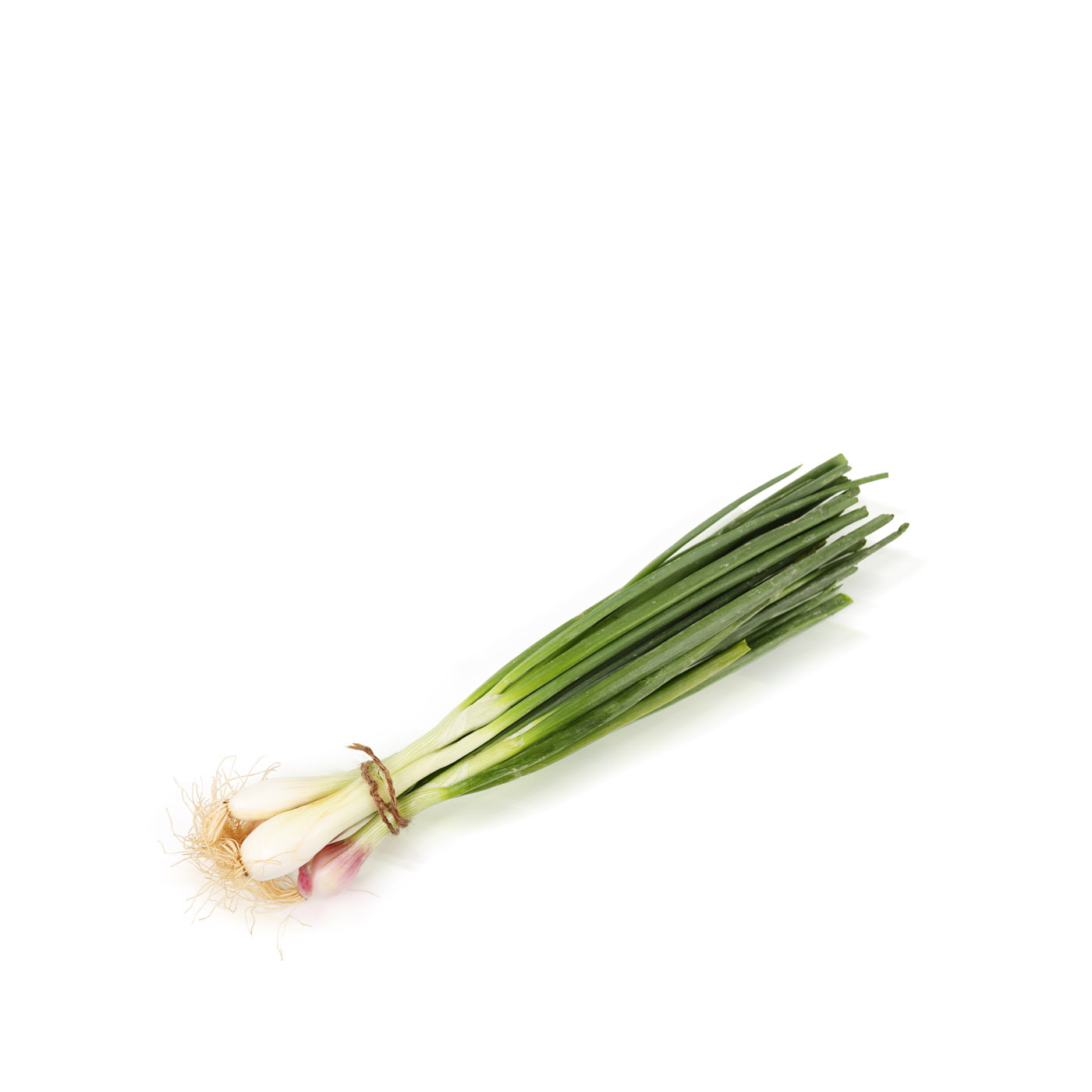 Spring Onion Bunch KSA