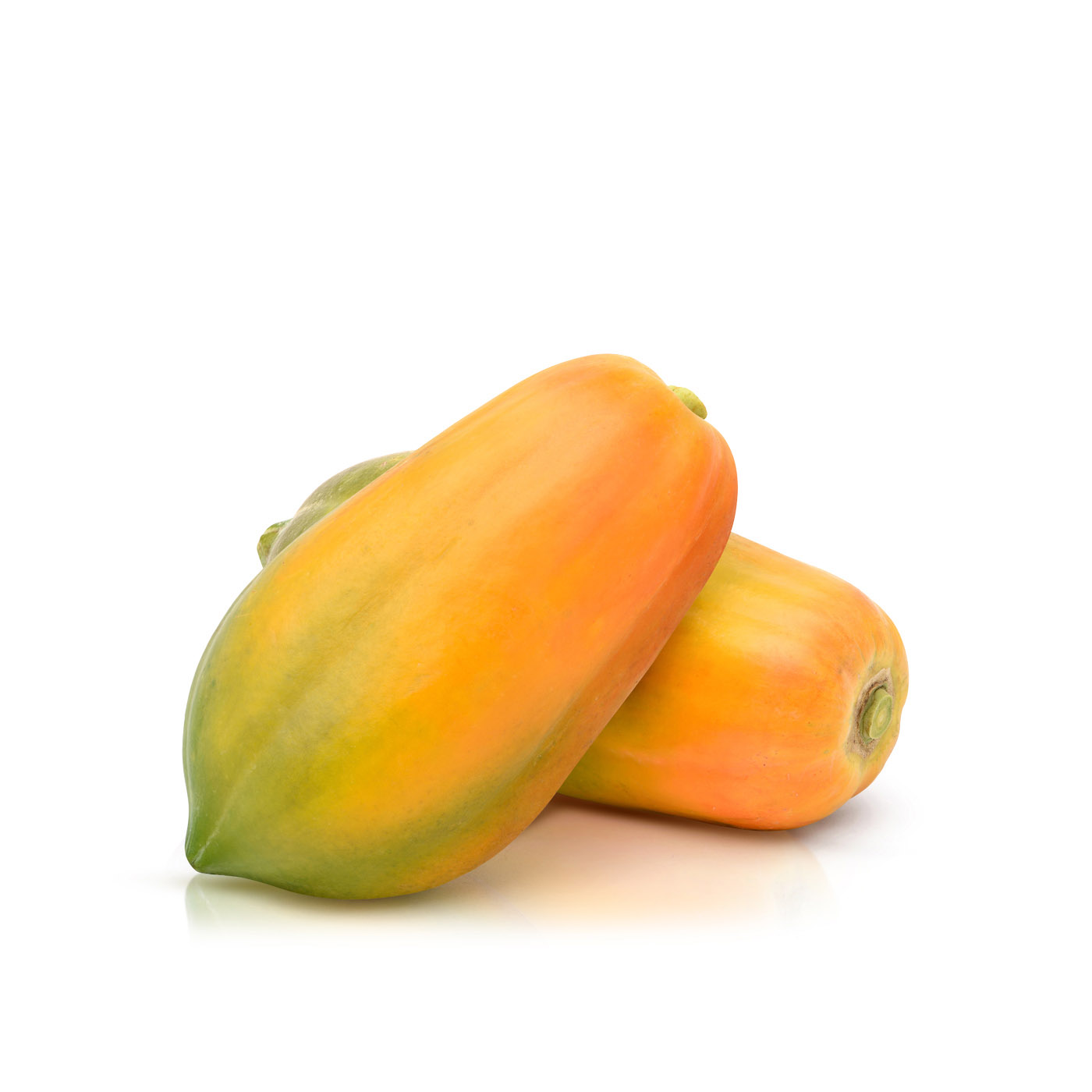 Papino Papaya South Africa