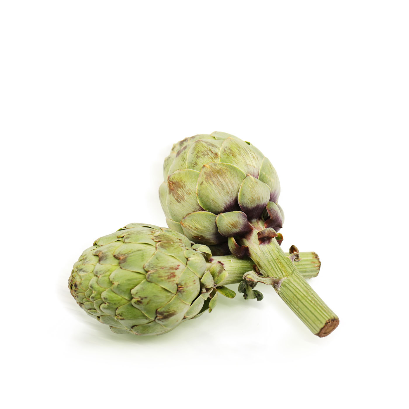 Artichoke Holland
