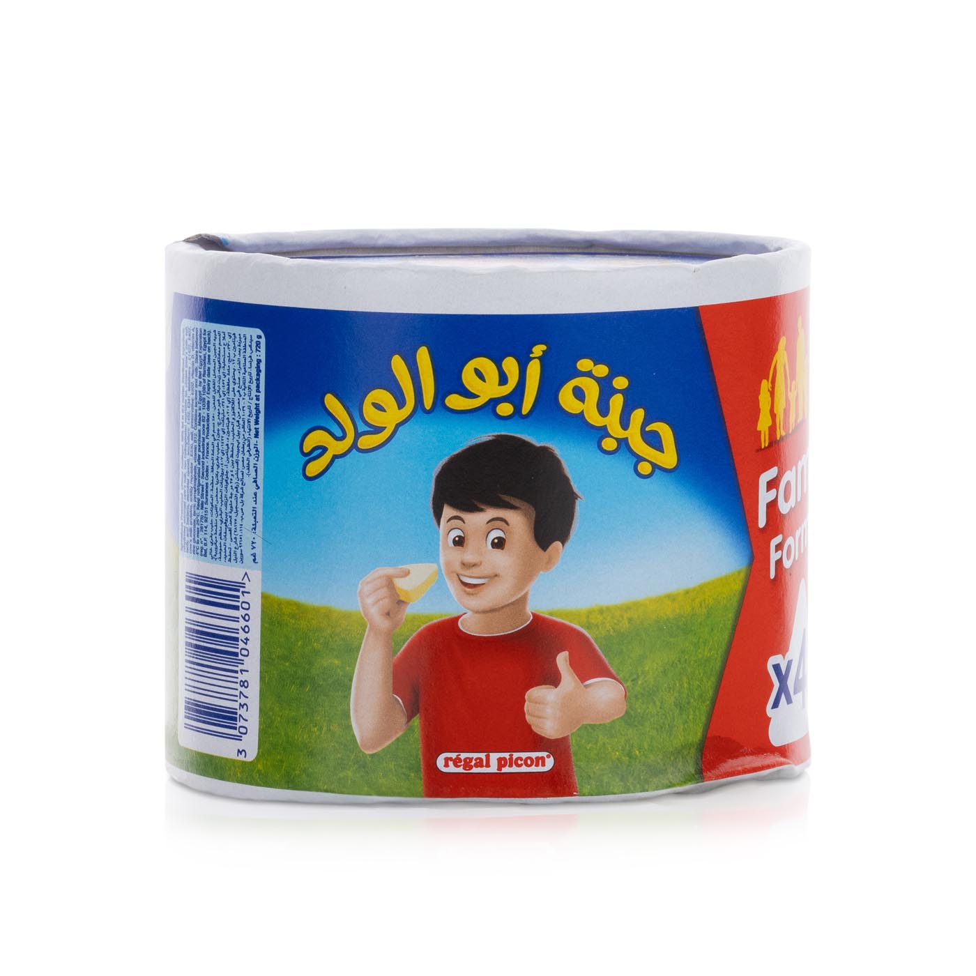 Regal Picon Cheese 48 Portions 720g