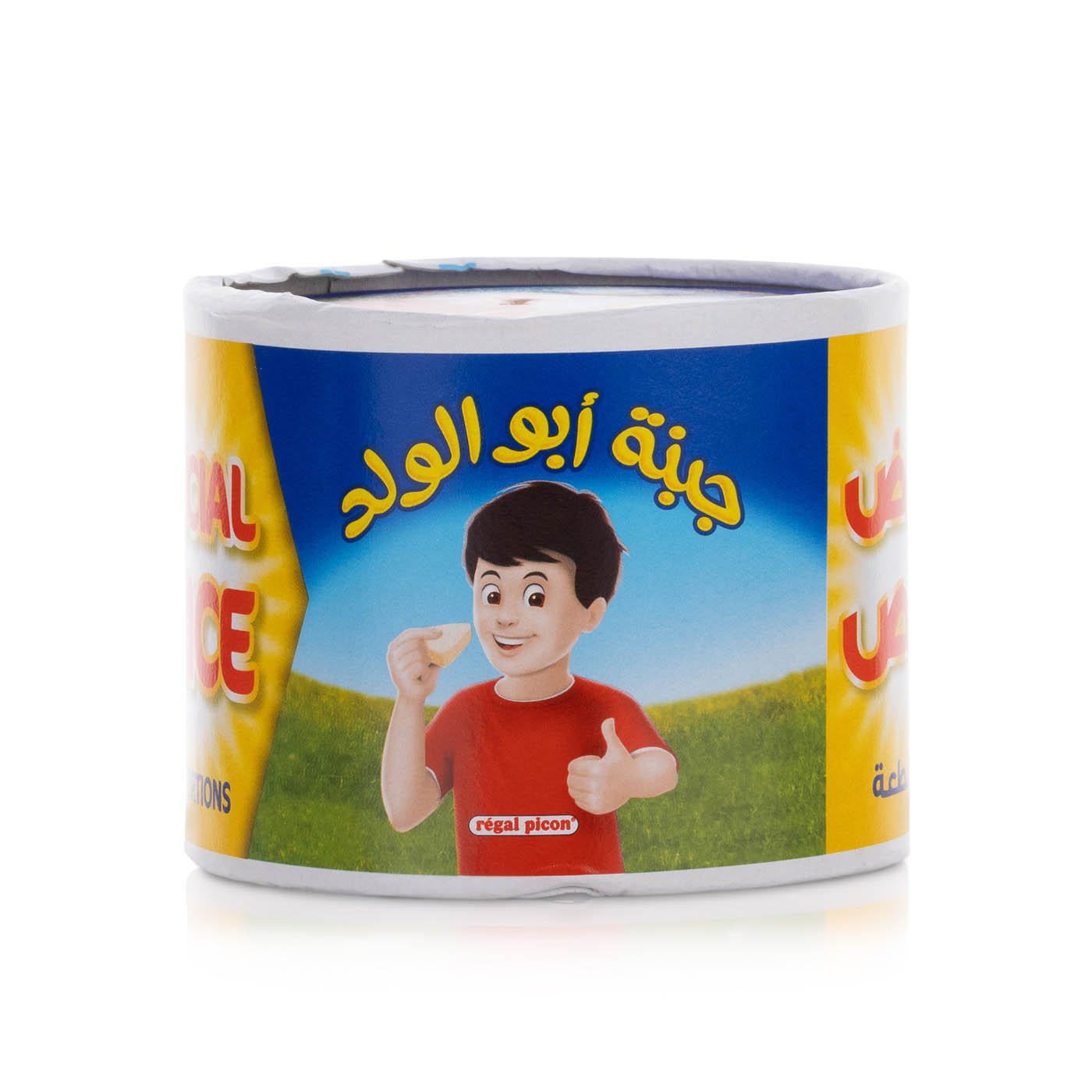 Regal Picon Cheese 32 Portions 480g