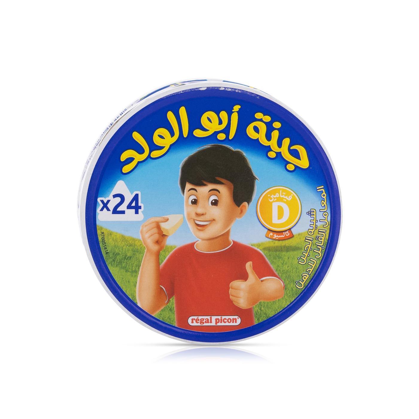 Regal Picon Cheese 24 Portions 360g