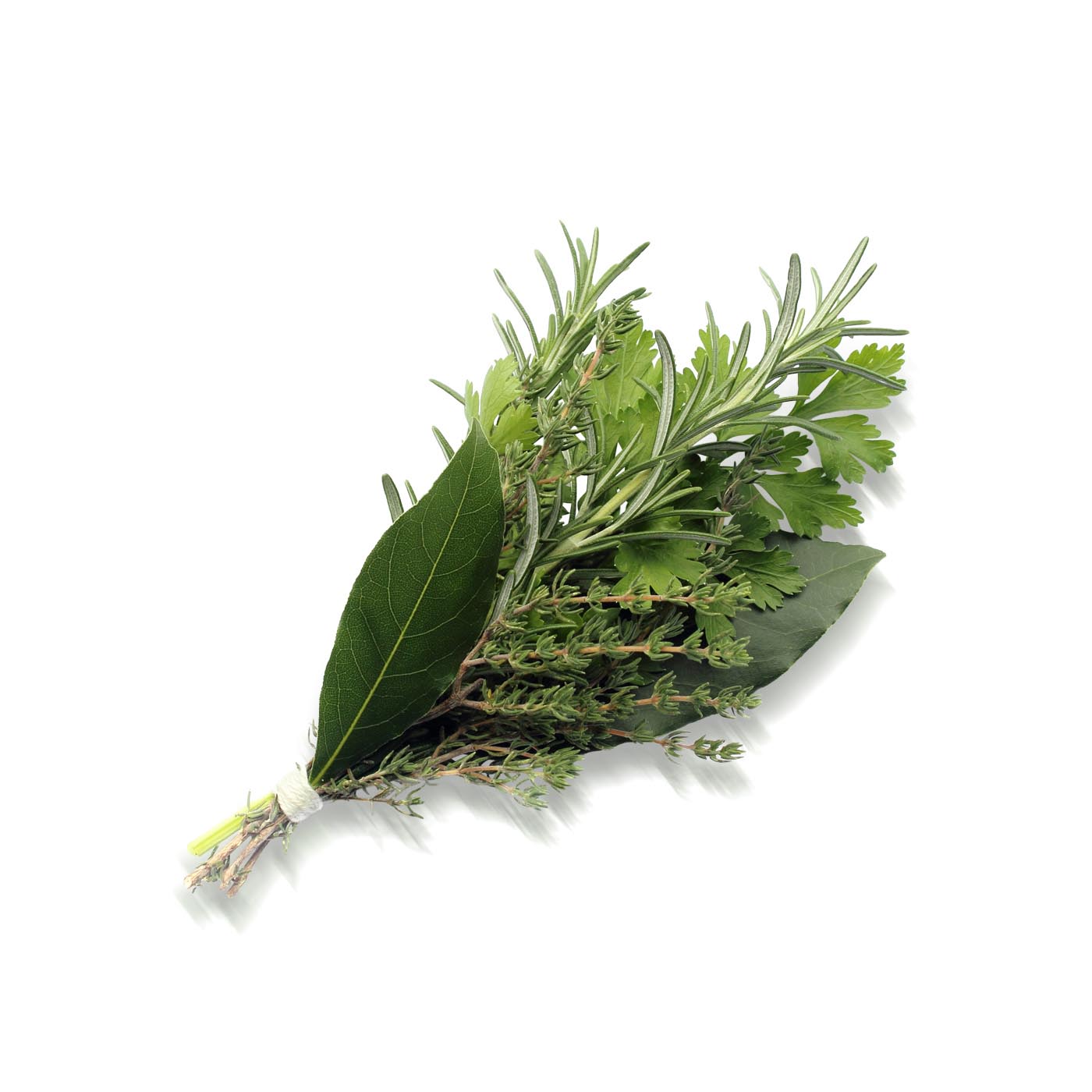 French Organic Herb Bouquet