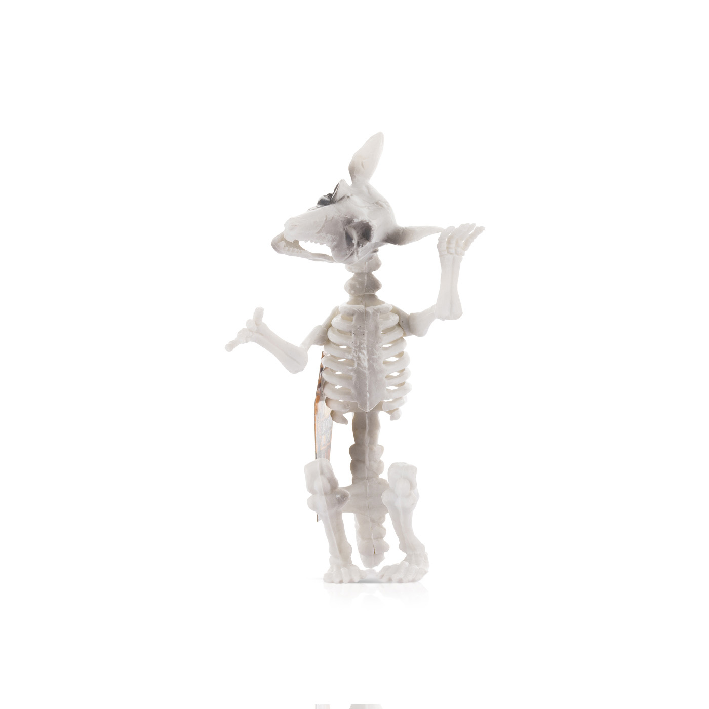 PMS Halloween Assorted Skeleton Animal Decorations