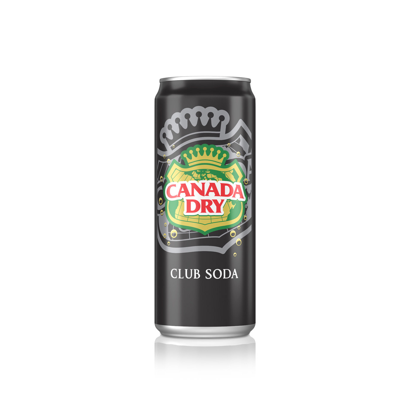 Canada Dry Soda 330ml Can