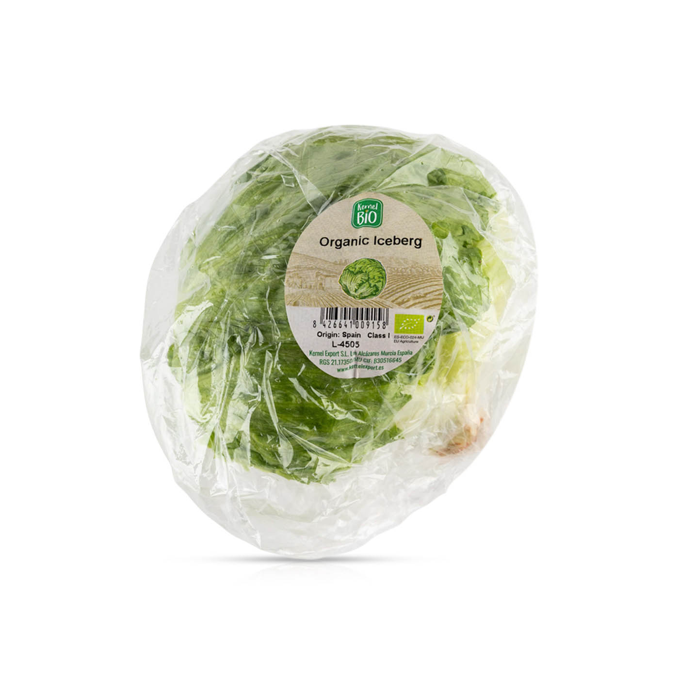 Organic Iceberg Lettuce