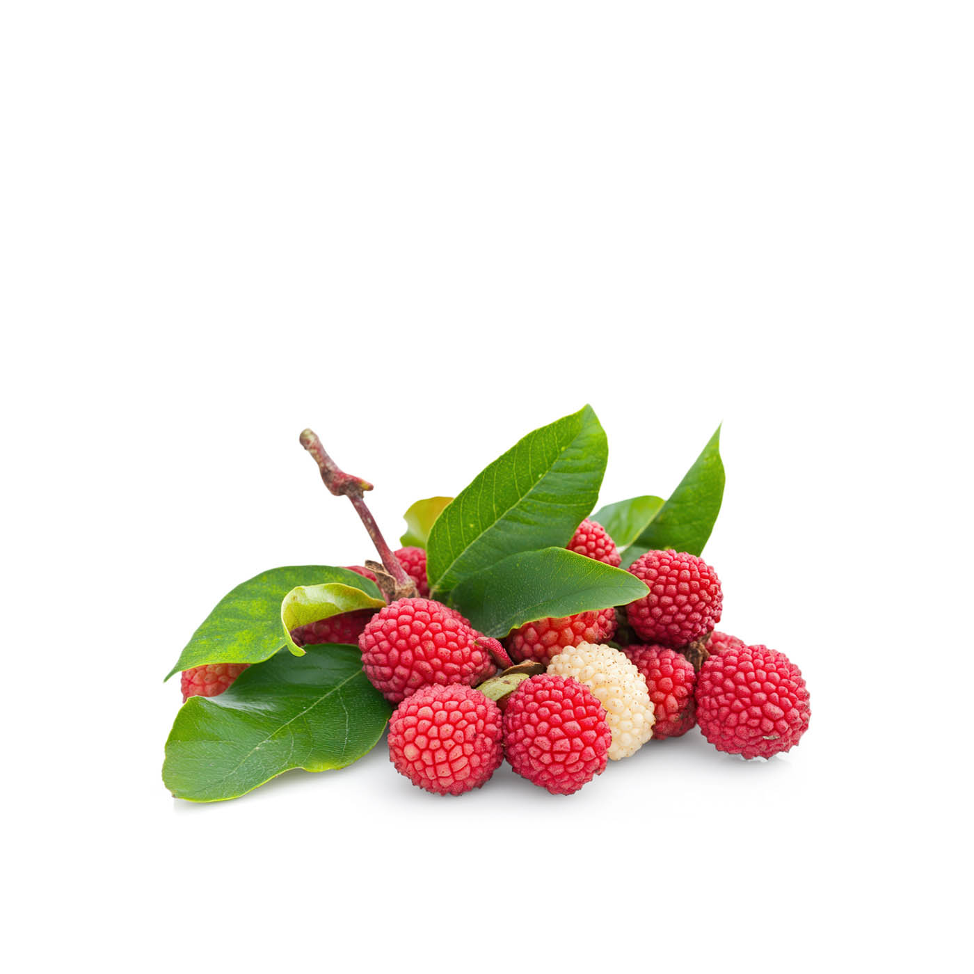 Lychee Brazil