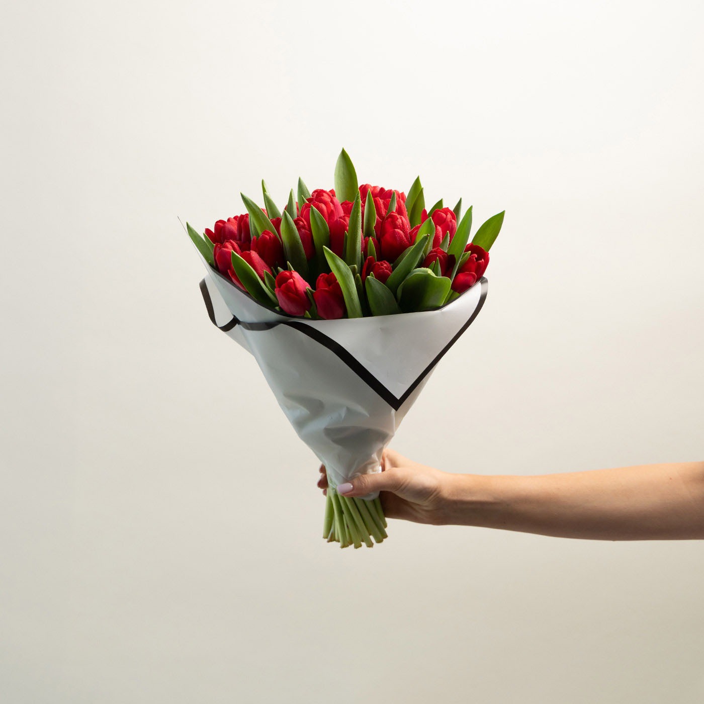 Valentine's Red Tulips