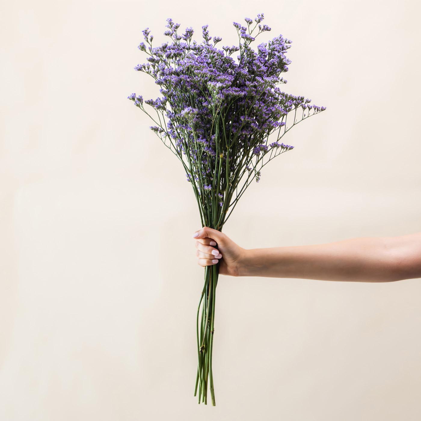 Purple Limonium Bunch
