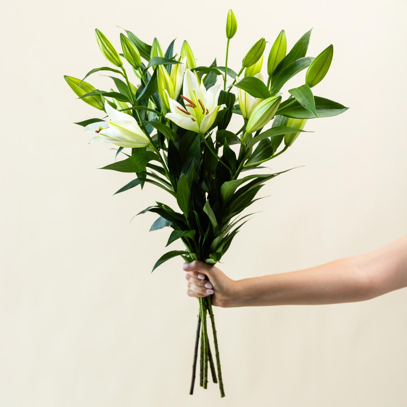 Oriental White Lilies
