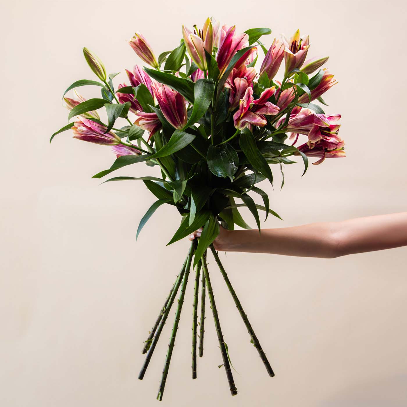 Oriental Red Lilies