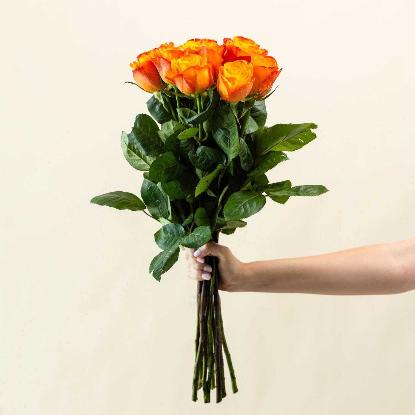 Luxury Orange Roses