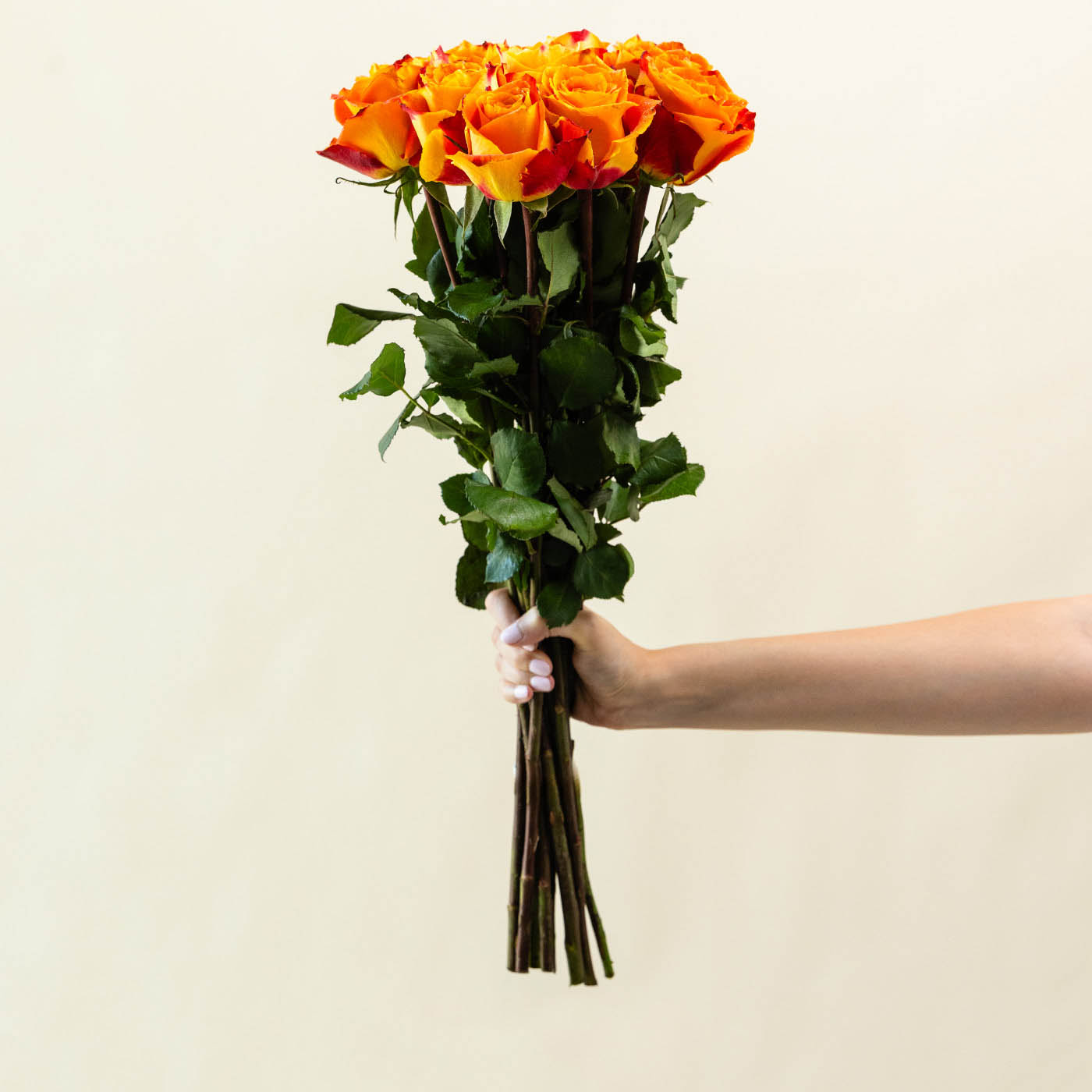 Luxury Orange and Yellow Roses