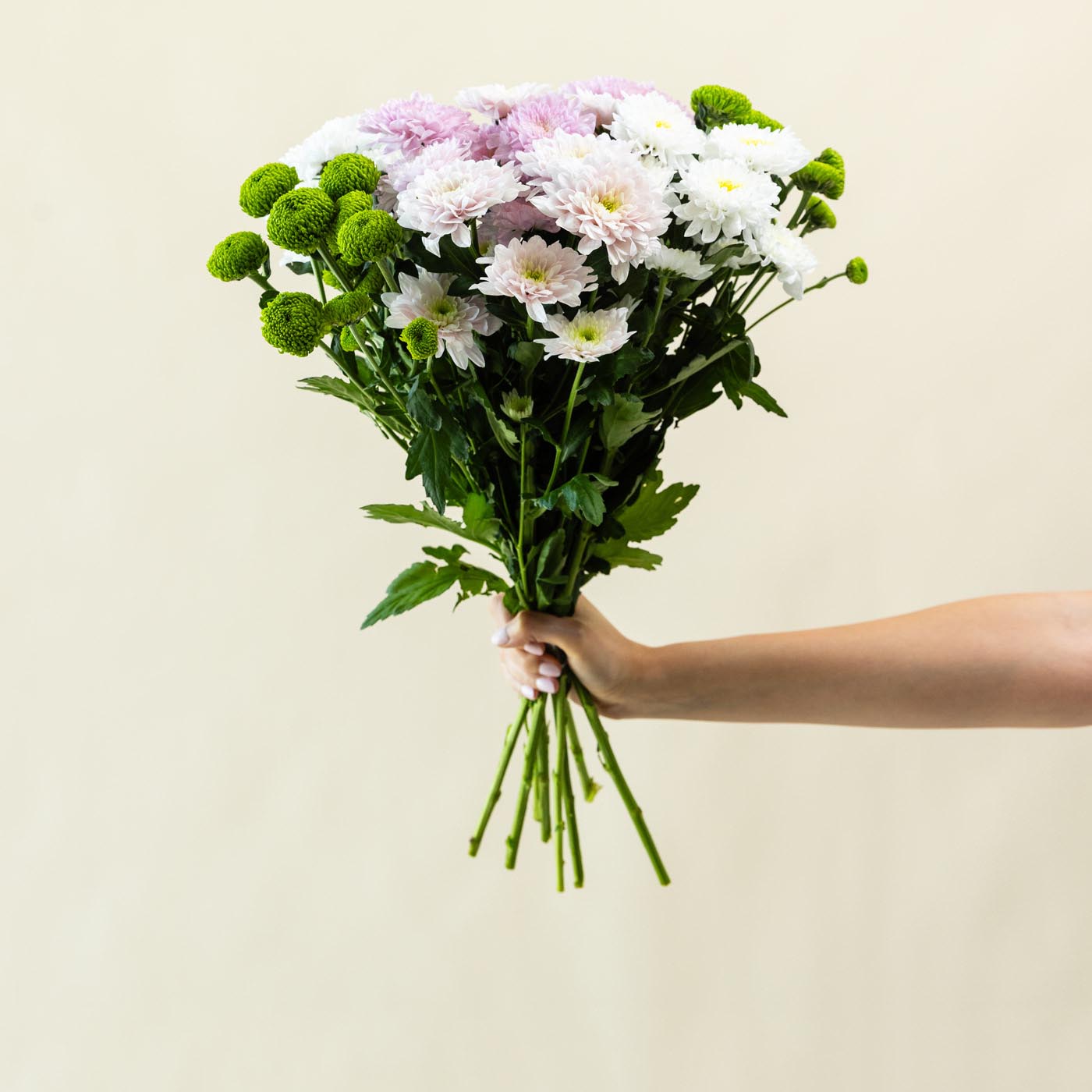 Chrysanthemum Bouquet