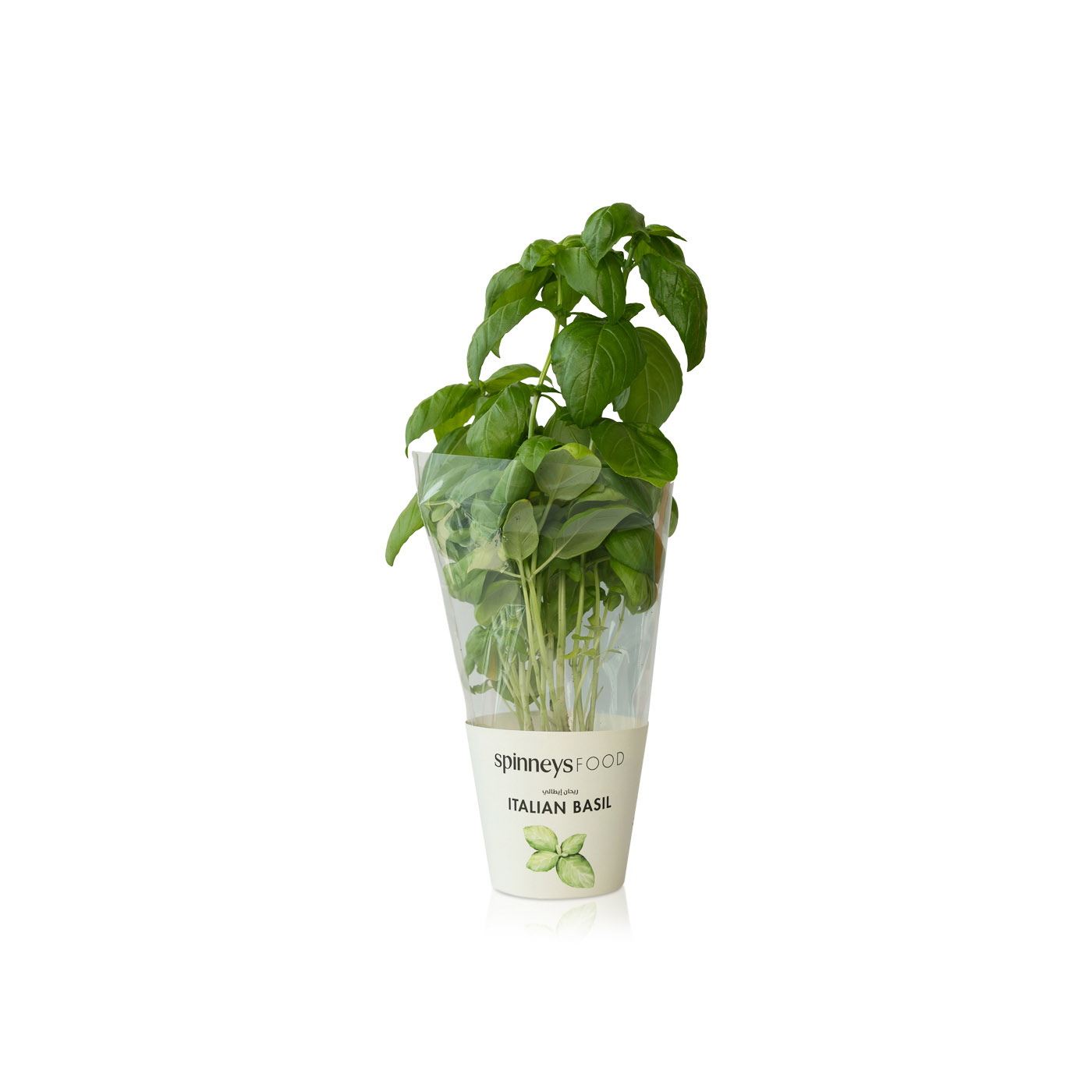 Spinneysfood Italian Basil Plant