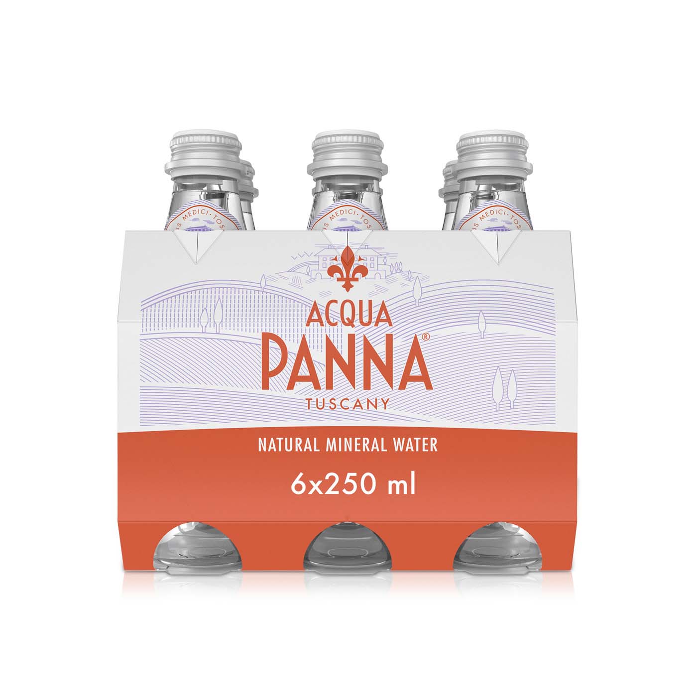 Acqua Panna Mineral Water 250ml x 6