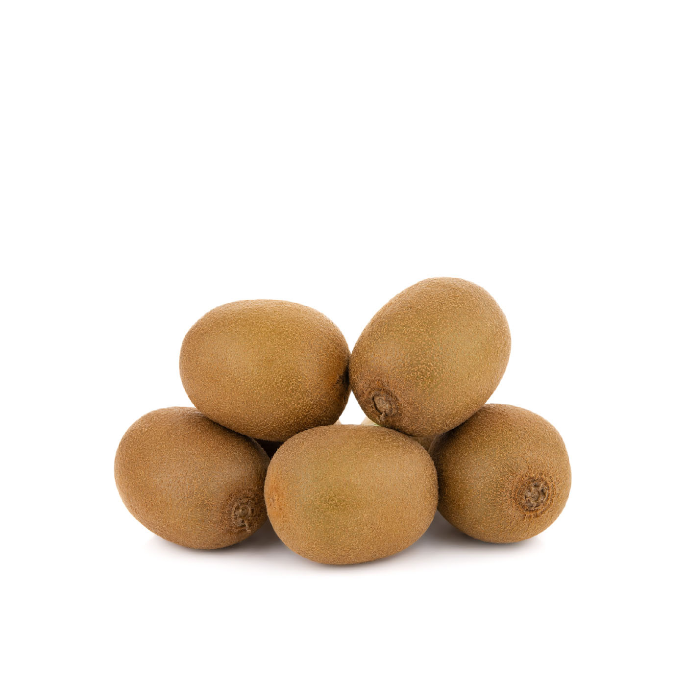 Gold Kiwi New Zealand x 5