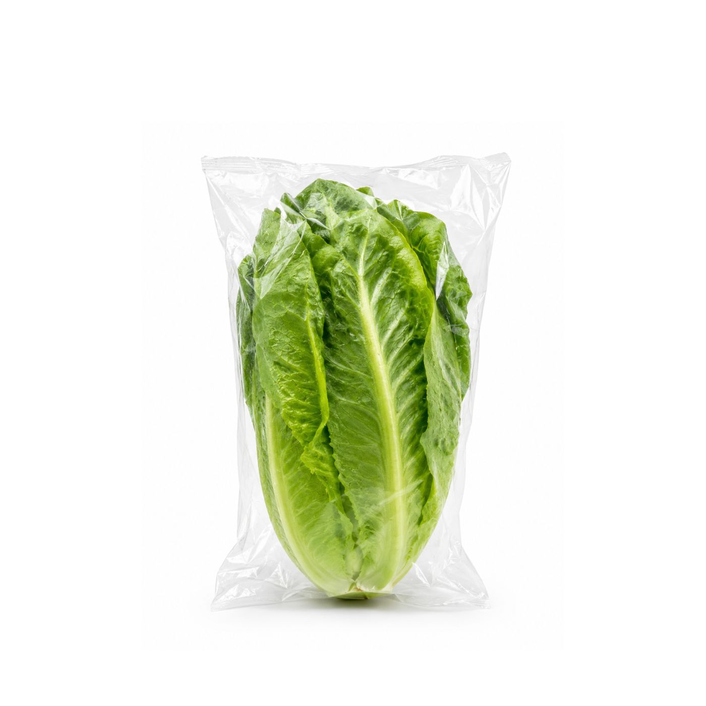 G’s Romaine Single Lettuce UK