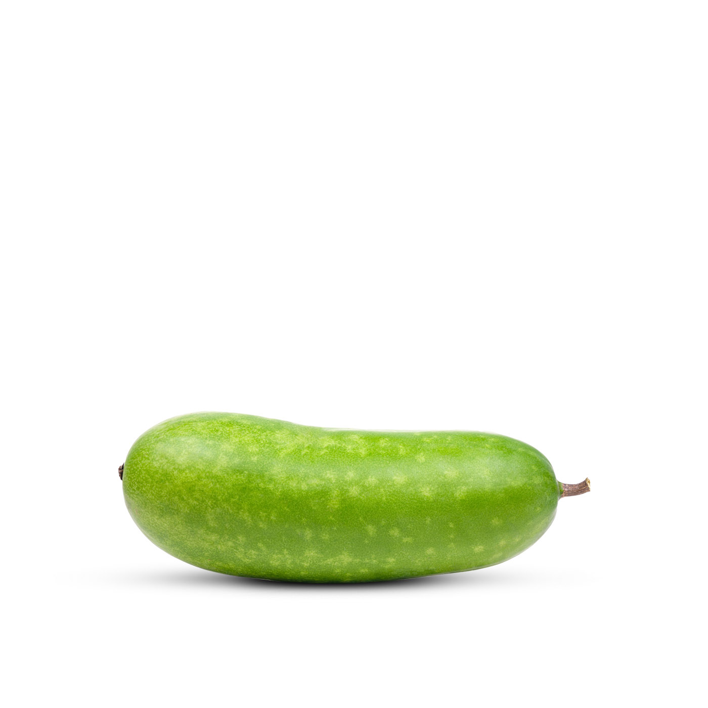 Ash Gourd Oman