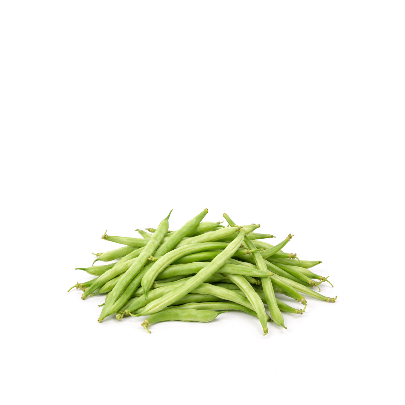 French Beans Egypt