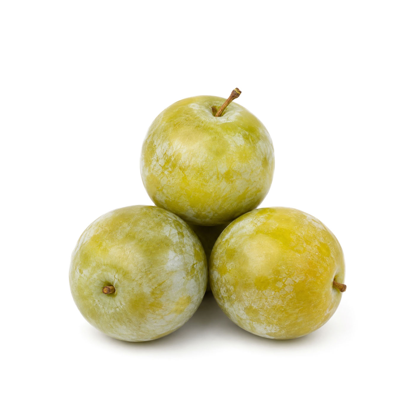 Greengage Plum France