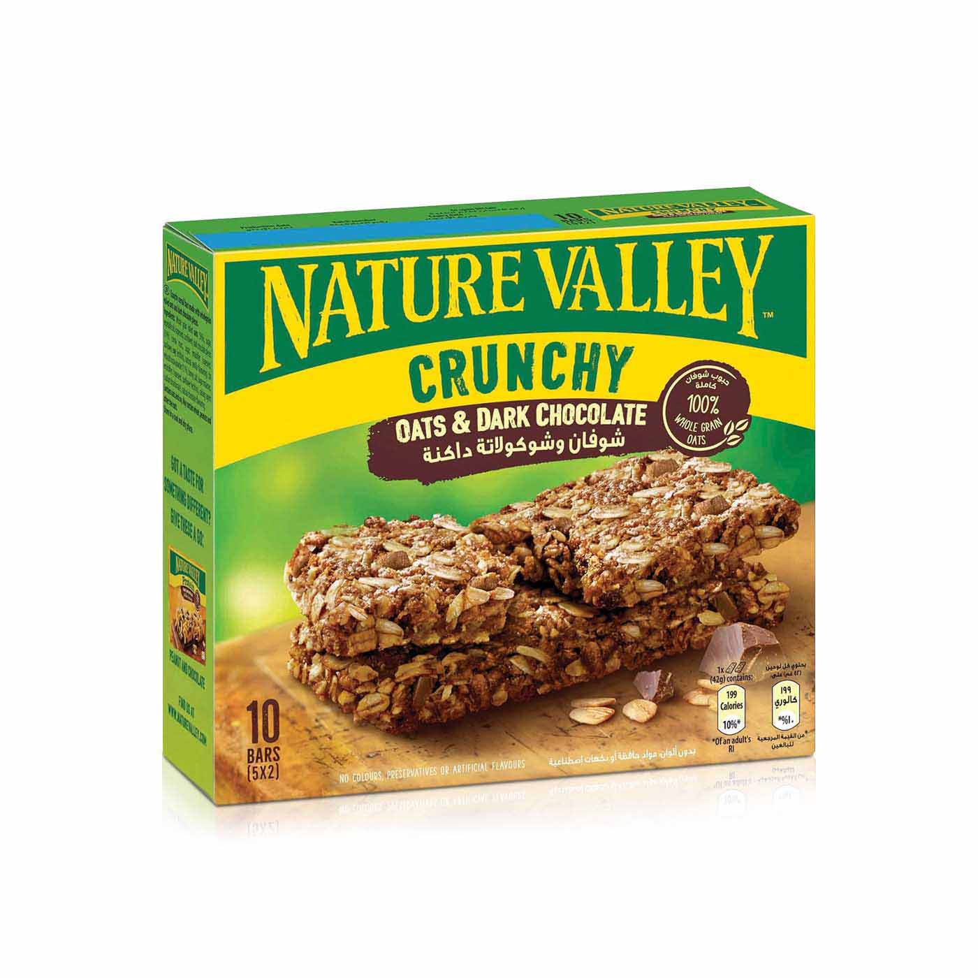 Nature Valley Oats Chocolate 42g