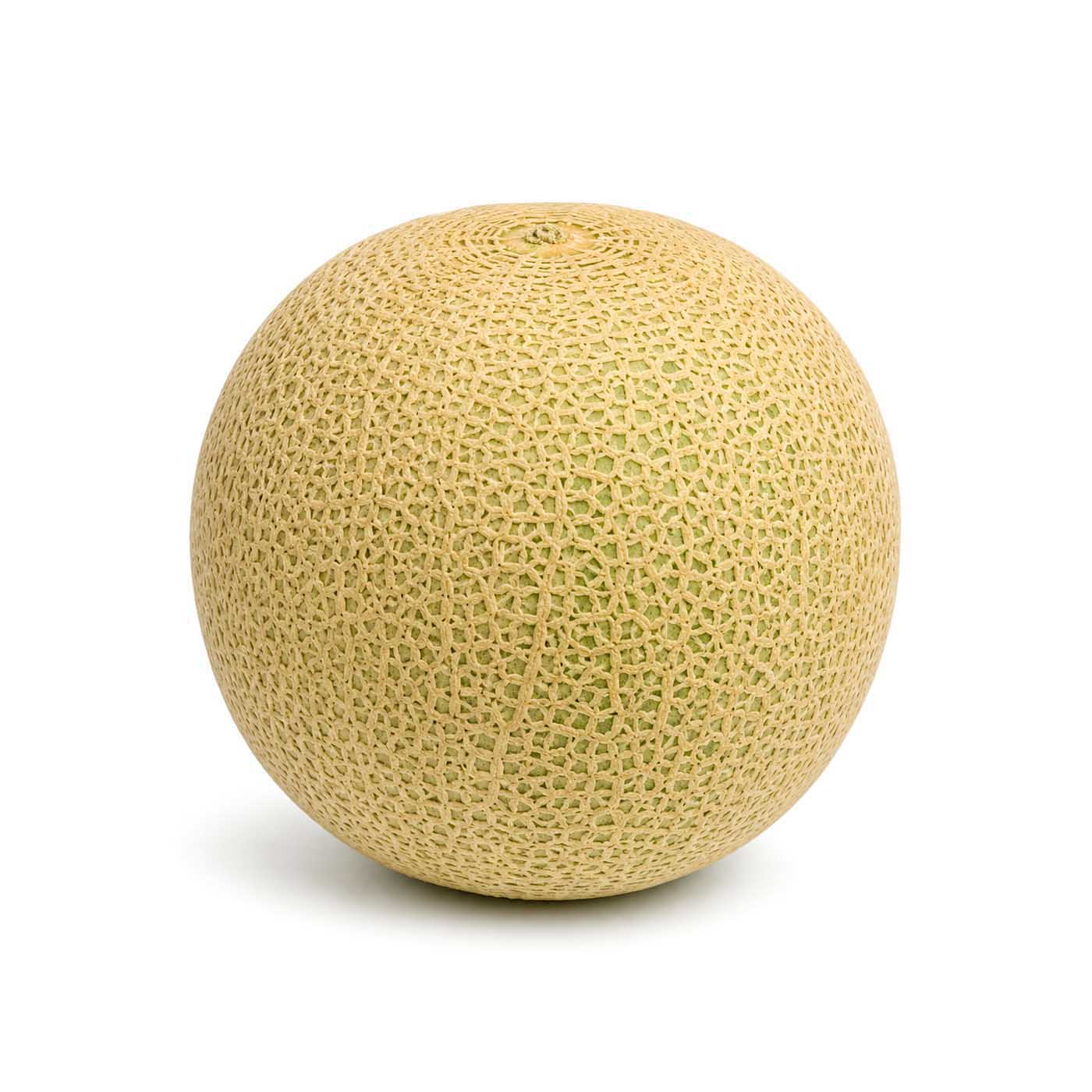 Rock Melon Brazil