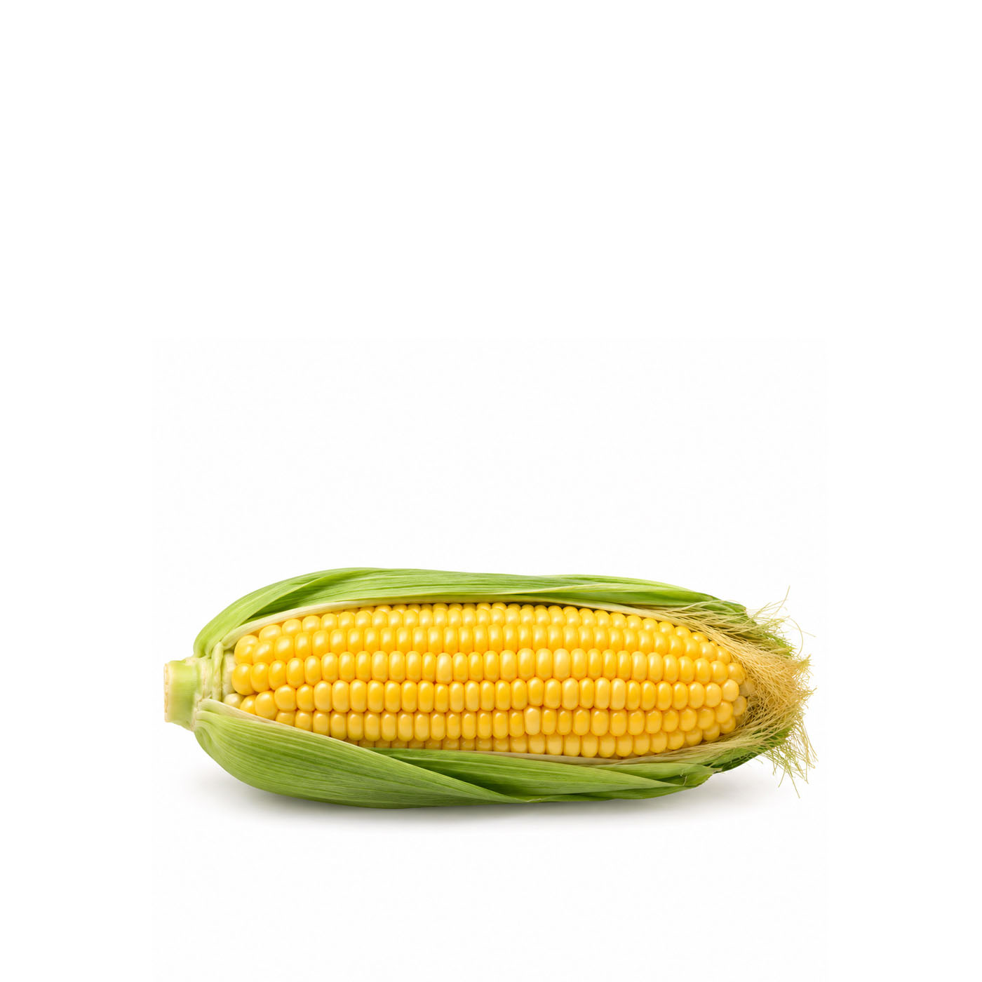 Loose Corn on the Cob Jordan
