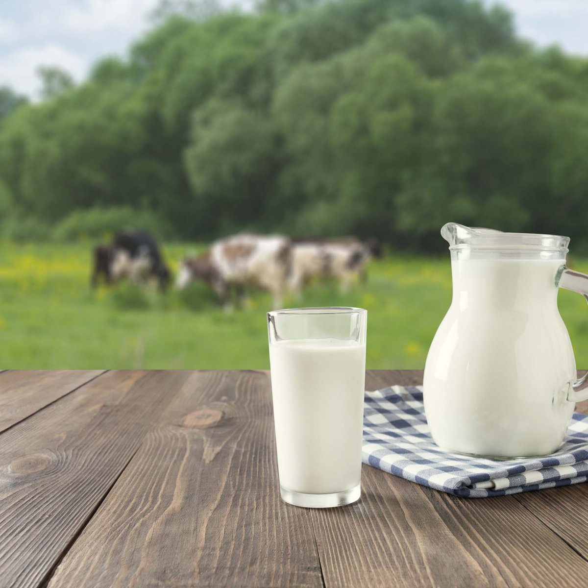 All about Arla Food's organic milk