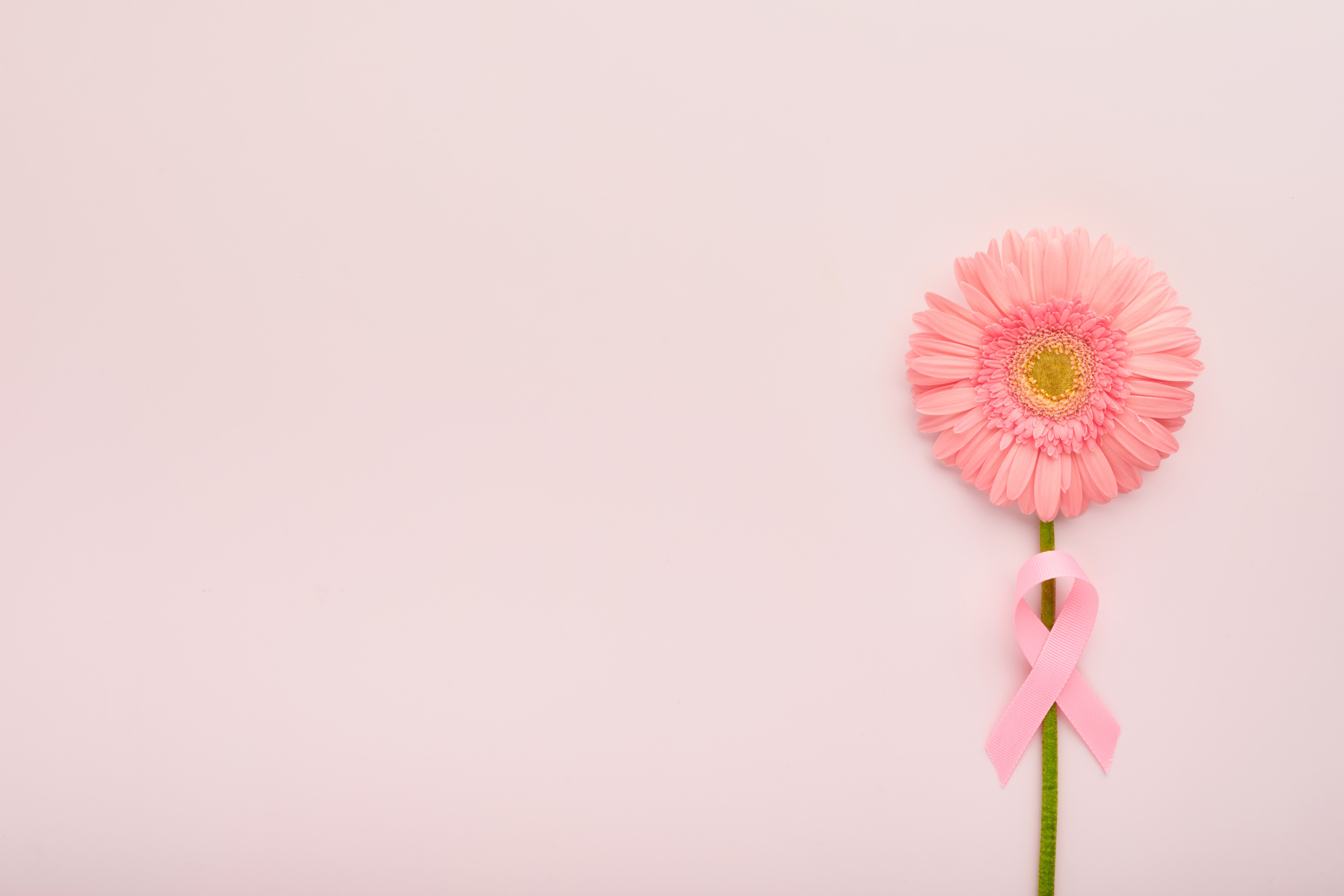 Breast Cancer: Surviving and thriving