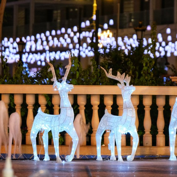 Five must-visit winter markets