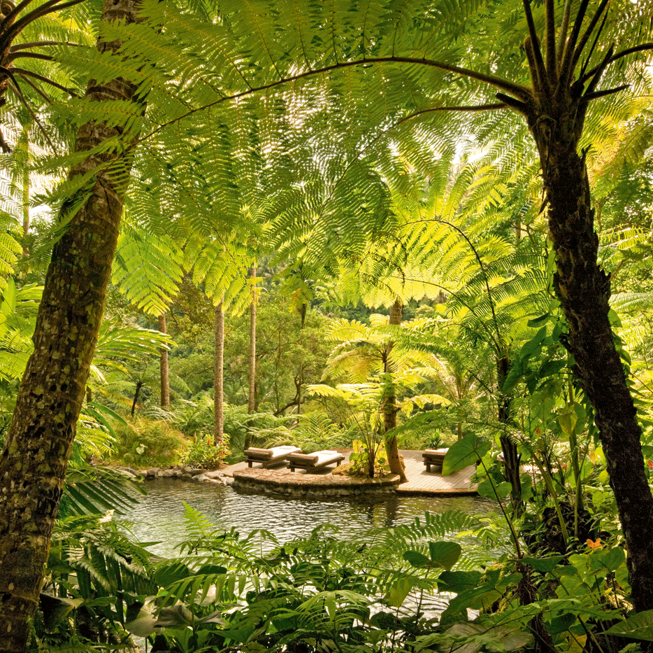 One of Kedara’s three pools