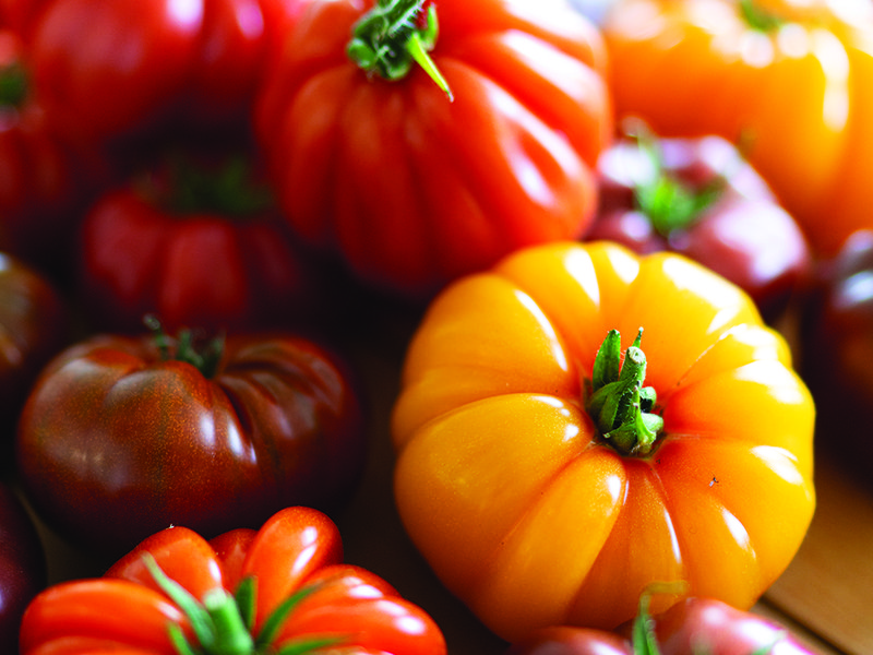 The Isle of Wight’s microclimate, makes it the sunniest part of the UK │ Paul Thomas, managing director of Isle of Wight Tomatoes  │ The company works with seed houses around the world to experiment with new varietals to get the best shapes, textures and flavours