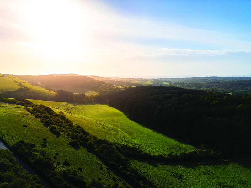 Rainwater is collected from the roofs of glasshouses and from reservoirs to be used during the main growing season │ The interior of the Isle of Wight is protected from cold snaps and heatwaves due to the sea’s insulating influence │ Tomato plants are treated with the utmost care │ The Golden Cœur De Bœuf tomato variety will  soon be available at Spinneys
